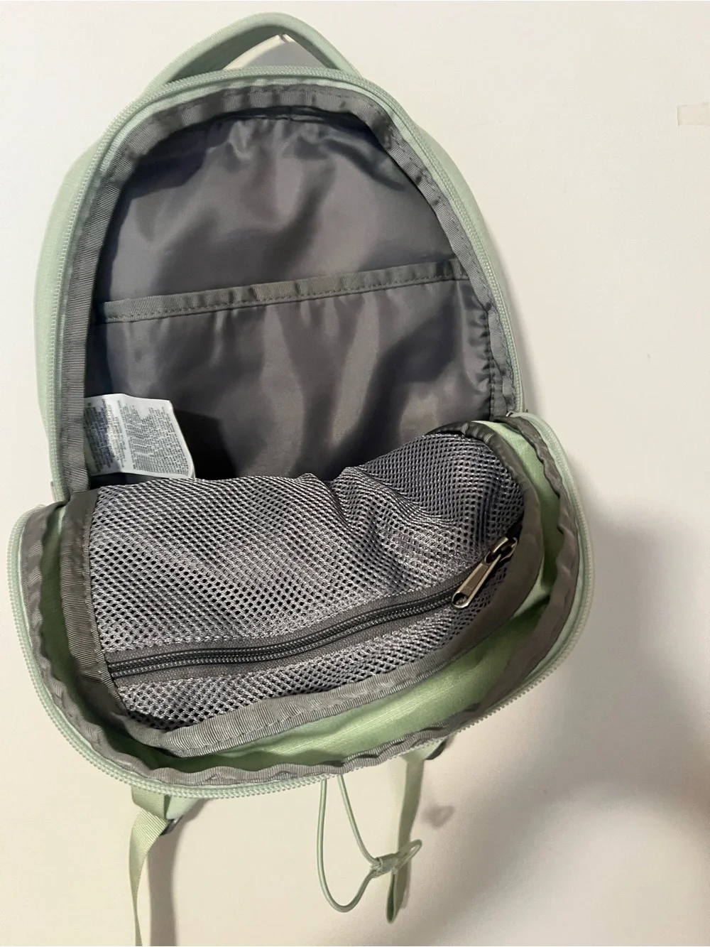 The North Face Mini Backpack in Sage Green